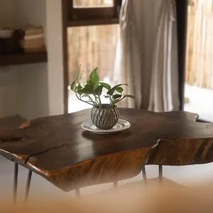Big Tree Boutique 3* Ko Tao